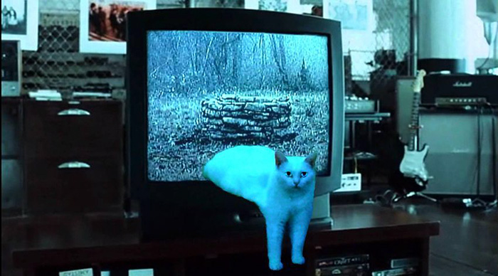 batalla-photoshop-medio-gato (4)