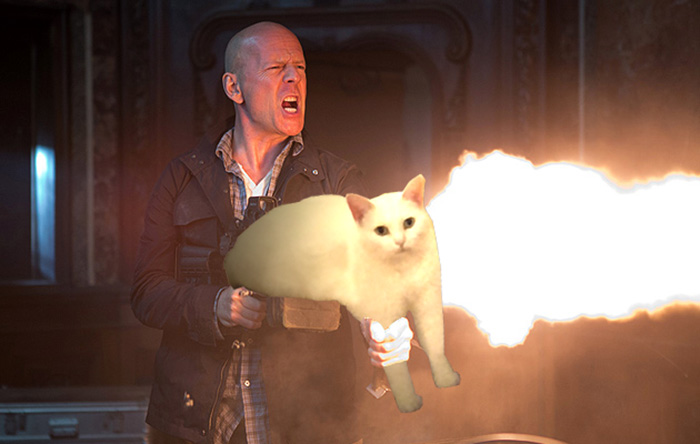 batalla-photoshop-medio-gato (7)