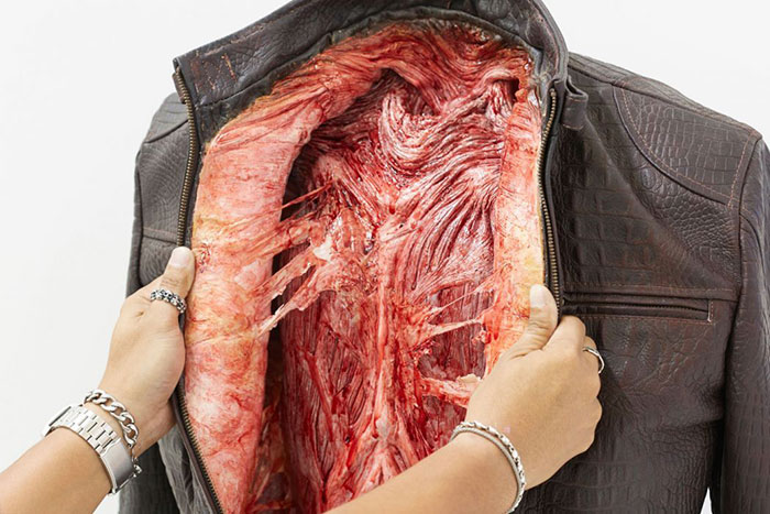 campana-anti-crueldad-animal-cuero-peta-asia (11)