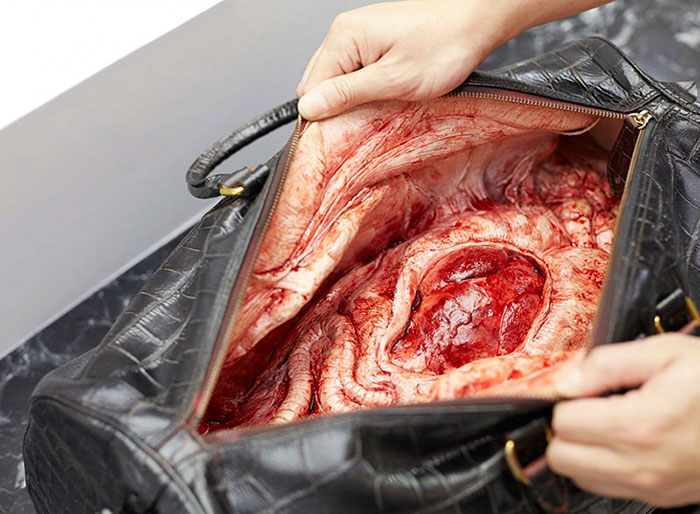 campana-anti-crueldad-animal-cuero-peta-asia (6)