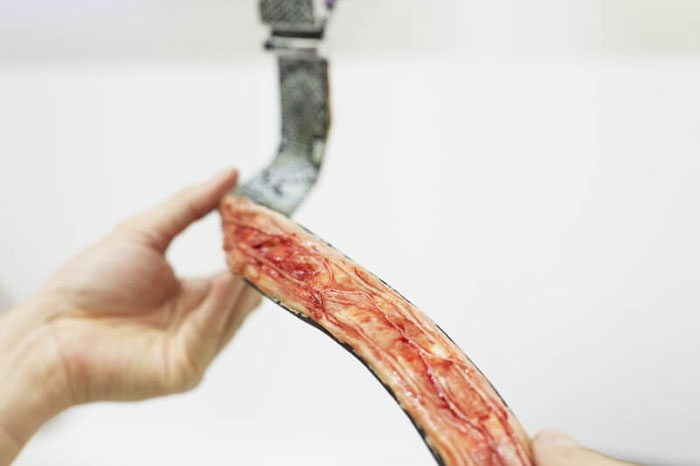 campana-anti-crueldad-animal-cuero-peta-asia (7)