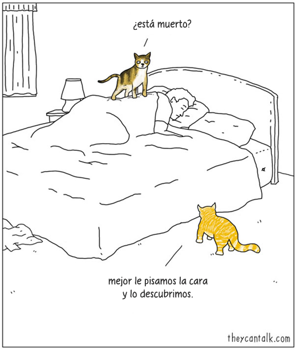 comics-si-animales-hablaran-jimmy-craig-(3)