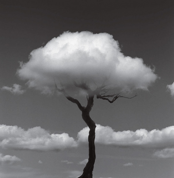 fotos-surreales-blanco-negro-chema-madoz (8)