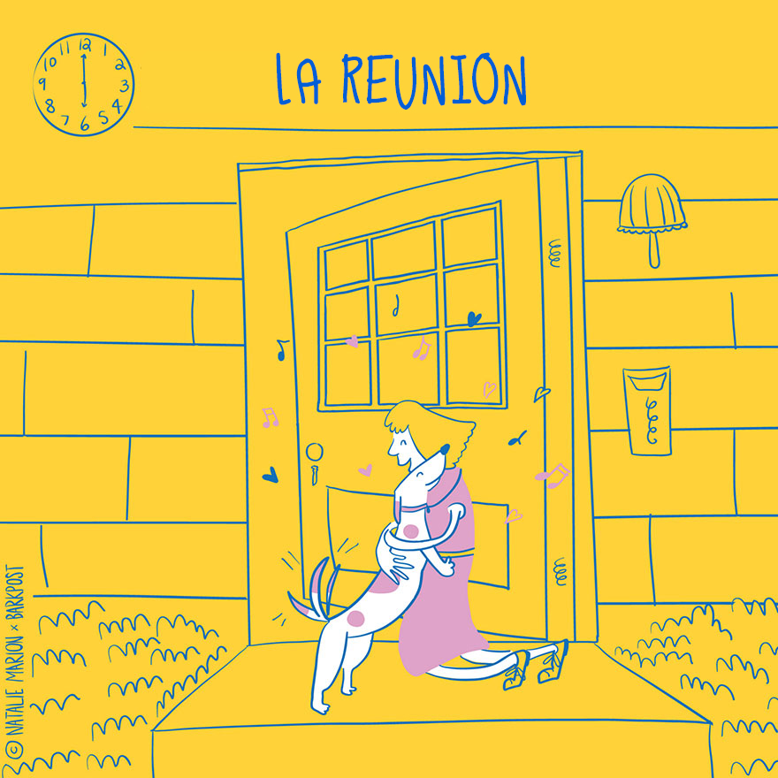 ilustraciones-vida-mama-perro-natalie-marion-7