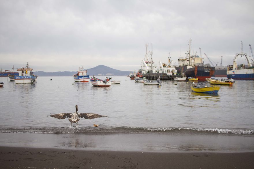 Fotografía Social - Talcahuano - Chile