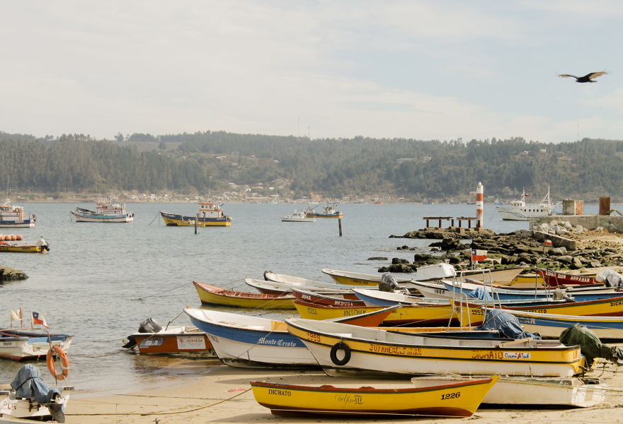 Un Viaje Por La Caleta De Dichato - Chile