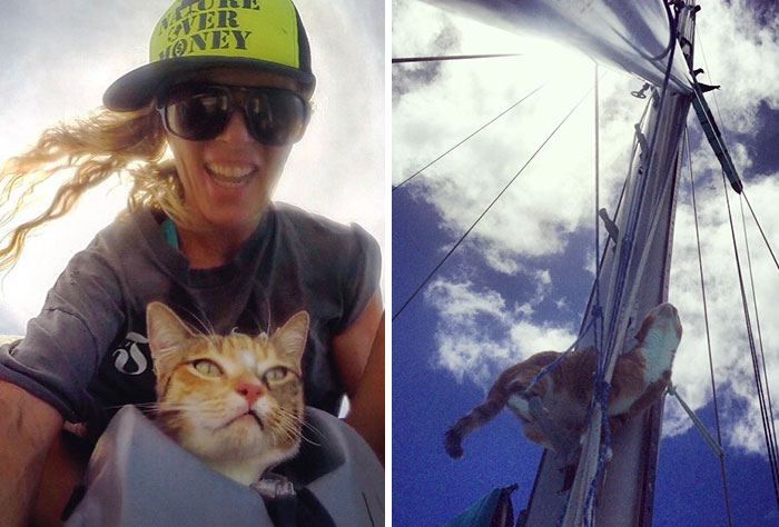 navegar-mundo-barco-gato-amelia-liz-clark (1)