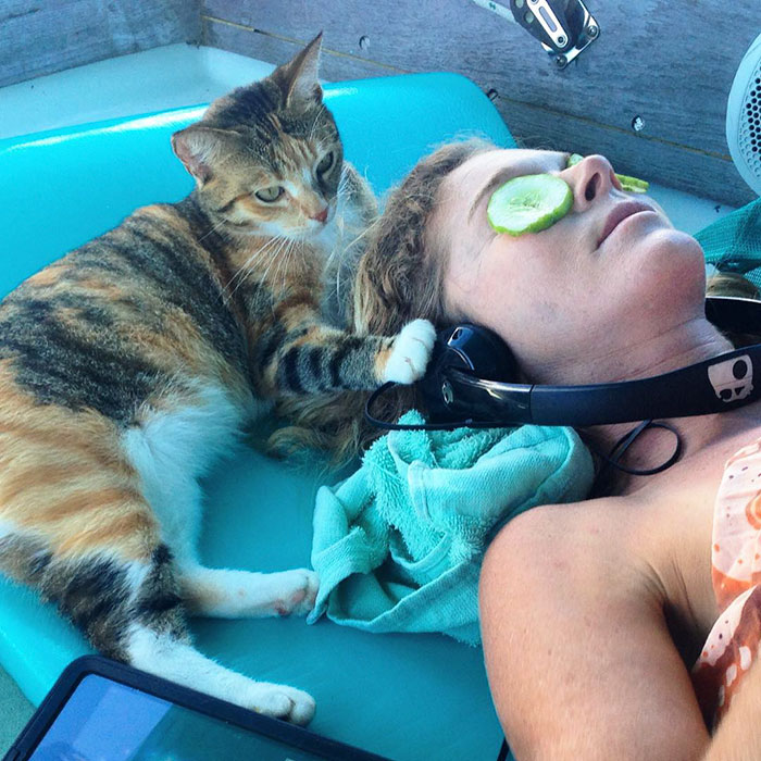navegar-mundo-barco-gato-amelia-liz-clark (13)