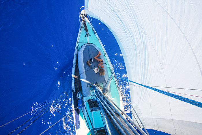 navegar-mundo-barco-gato-amelia-liz-clark (6)
