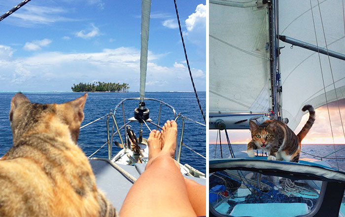 Esta mujer dejó su trabajo y se fue a navegar por el mundo con su gato
