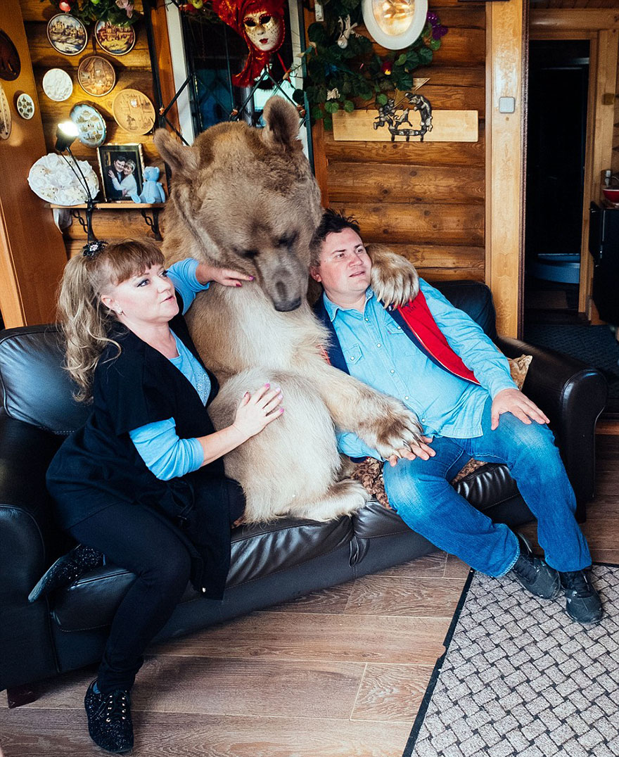 oso-adoptado-stepan-familia-rusa (8)