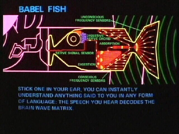 traductor-pilot-tiempo-real-waverly-labs (1)