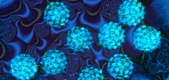 El Virus Del Papiloma Humano Y Su Relación Con El Cáncer Cérvico-uterino