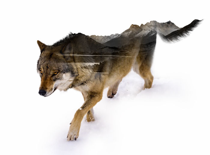 arte-digital-doble-exposicion-nevessart (3)