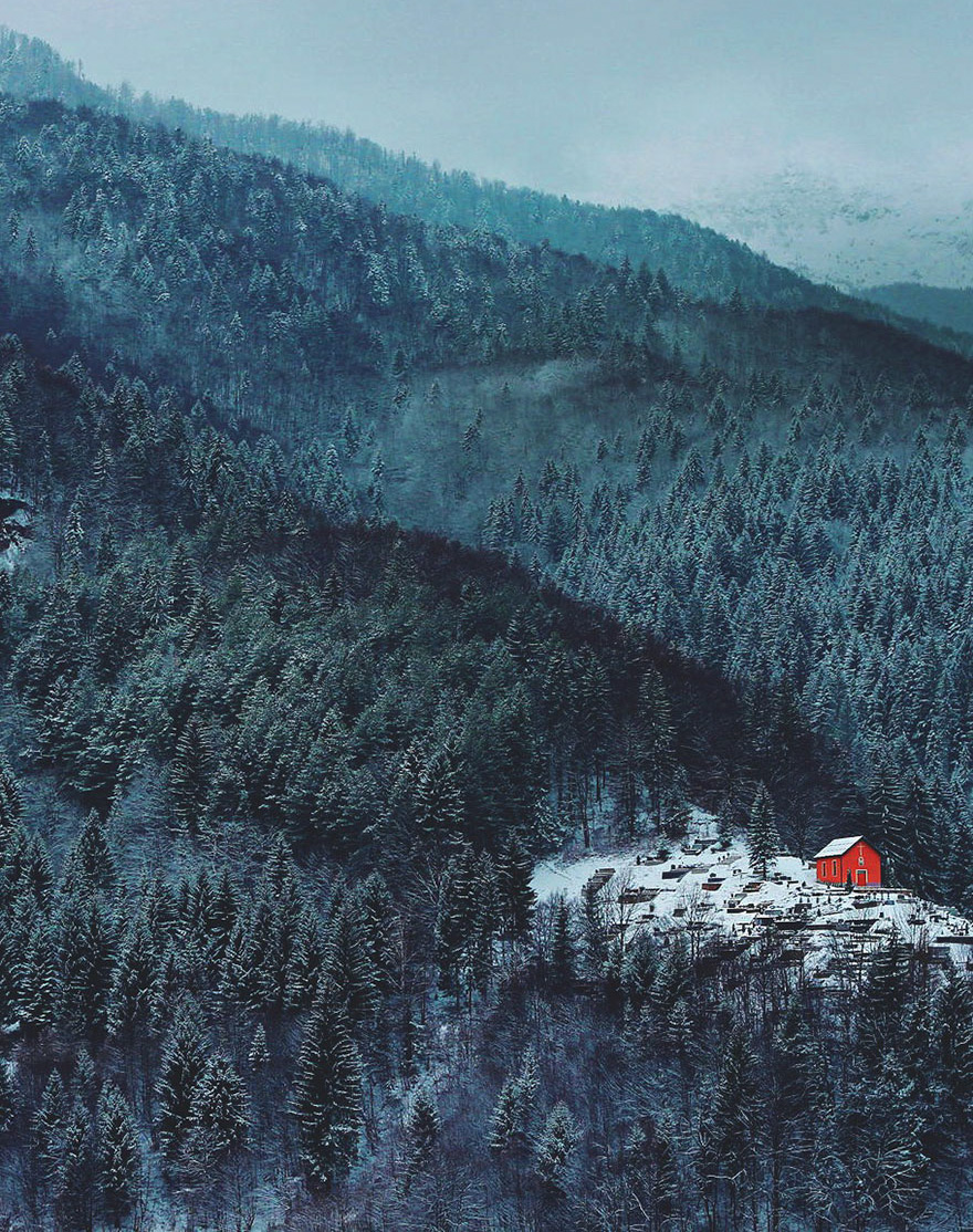 cabanas-perdidas-bosque (3)
