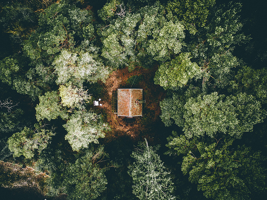 cabanas-perdidas-bosque (4)