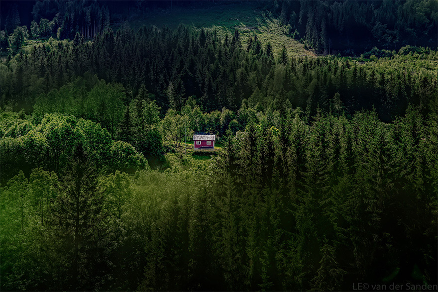 cabanas-perdidas-bosque (5)