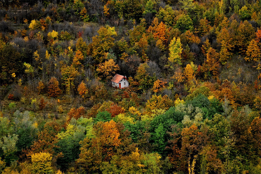 cabanas-perdidas-bosque (6)