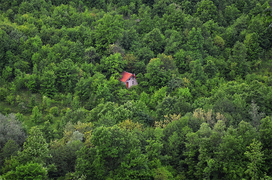 cabanas-perdidas-bosque (7)