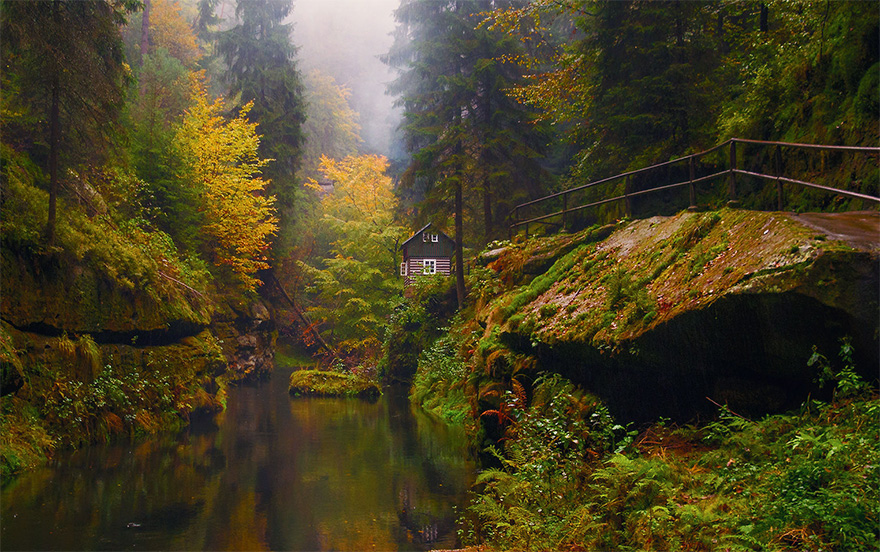 cabanas-perdidas-bosque (8)