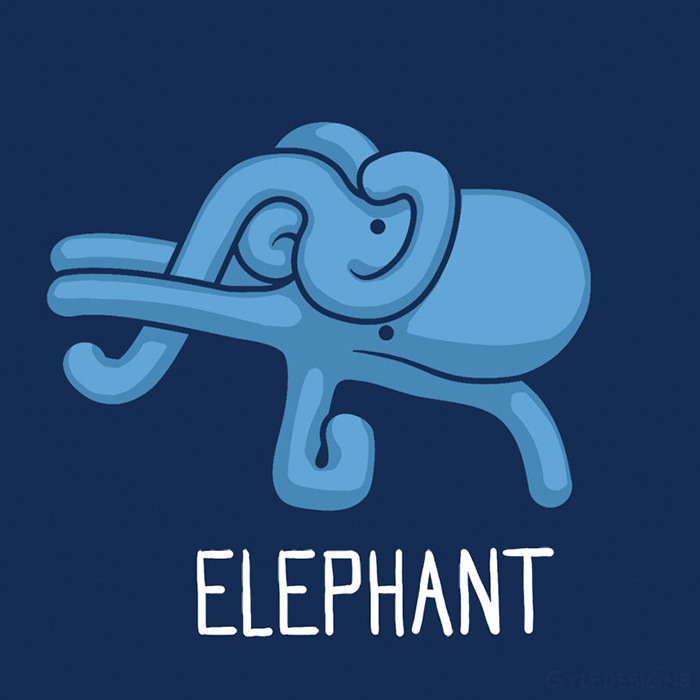 dibujos-animales-no-pulpos-gabe-pyle (3)