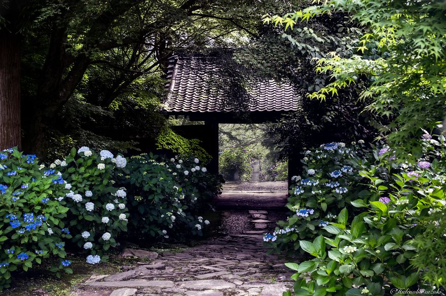 fotos-epoca-lluvias-japon-hidenobu-suzuki (9)