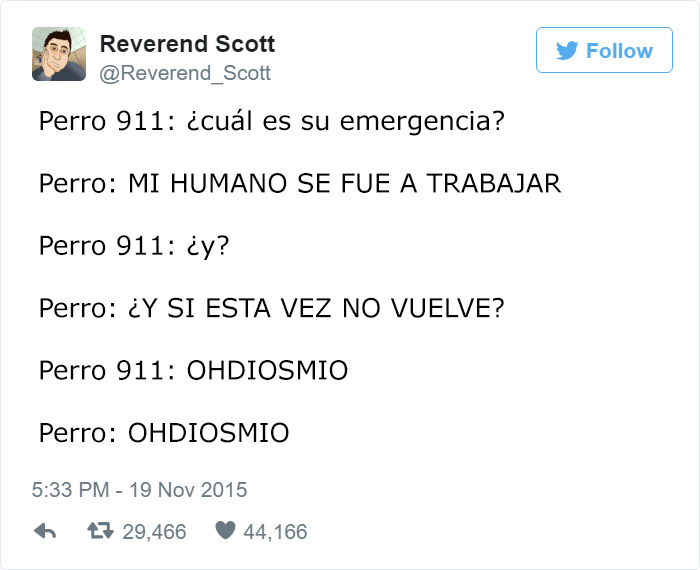 llamadas-perros-telefono-emergencias-reverend-scott-(1)