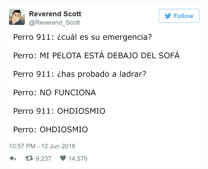 llamadas-perros-telefono-emergencias-reverend-scott-(3)