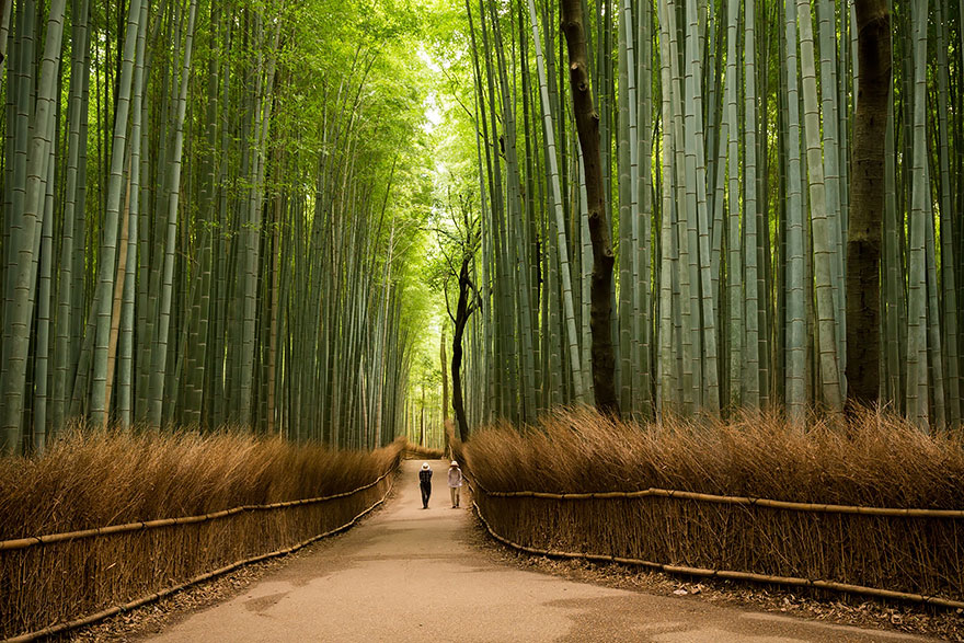 lugares-increibles-japon (1)