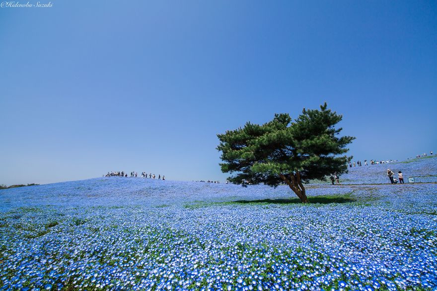 lugares-increibles-japon (12)