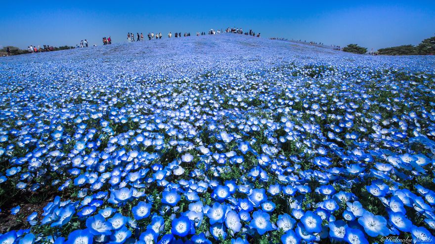 lugares-increibles-japon (13)
