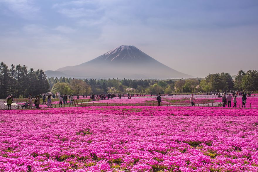 lugares-increibles-japon (14)