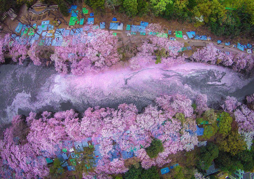 lugares-increibles-japon (15)