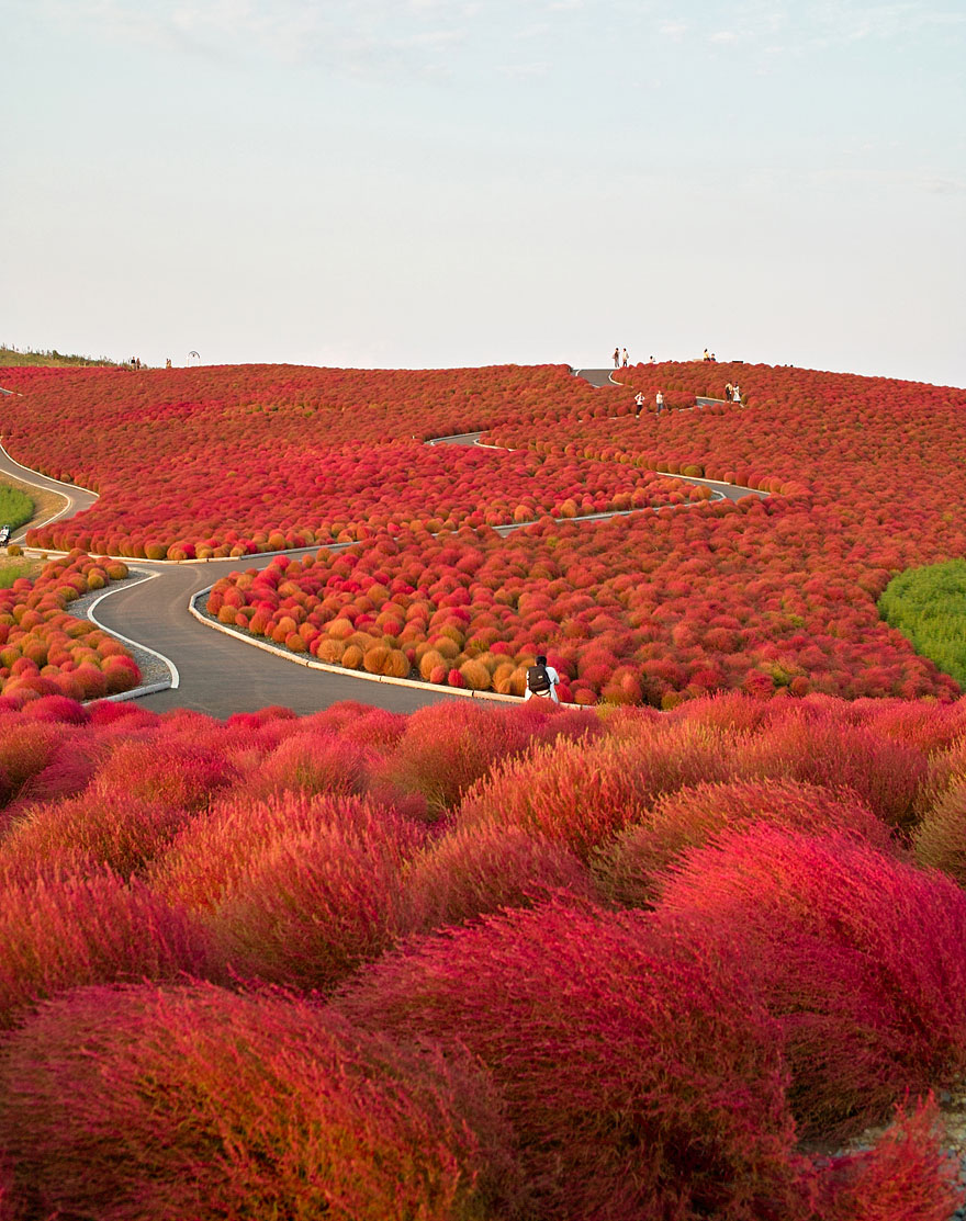 lugares-increibles-japon (2)