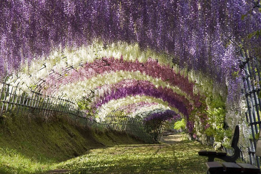 lugares-increibles-japon (3)