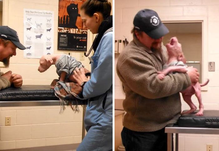 Este cachorro de pitbull no podía creérselo cuando su rescatador volvió para adoptarlo