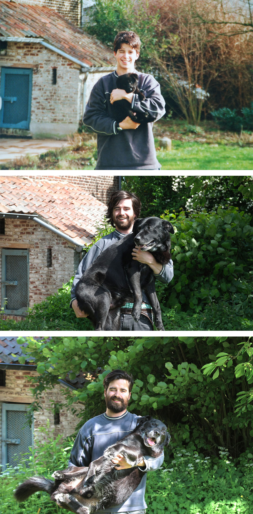 recreacion-foto-perro-birdy-gordon-delacroix
