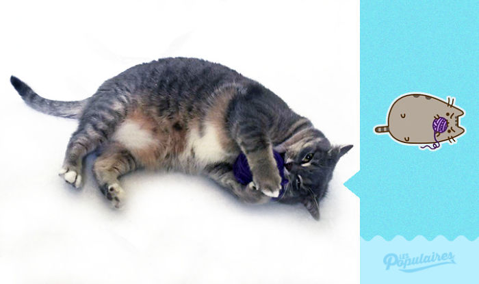 recreacion-gato-pusheen-jackie-julien-therrien (12)