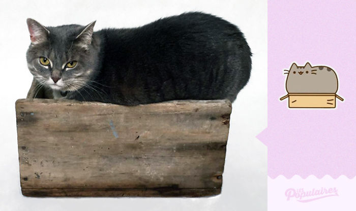 recreacion-gato-pusheen-jackie-julien-therrien (2)
