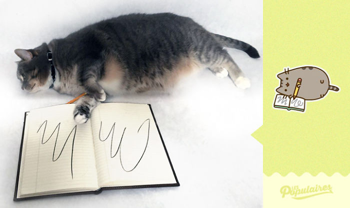 recreacion-gato-pusheen-jackie-julien-therrien (4)