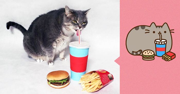 recreacion-gato-pusheen-jackie-julien-therrien (5)