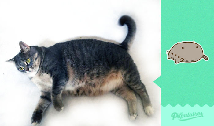 recreacion-gato-pusheen-jackie-julien-therrien (6)
