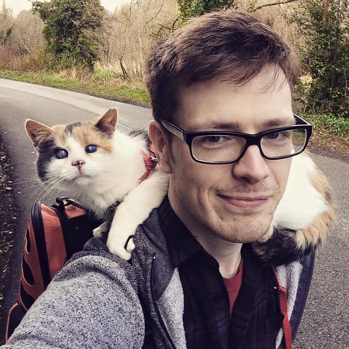 Mi gata ciega ha escalado la montaña más alta de Irlanda con fines benéficos