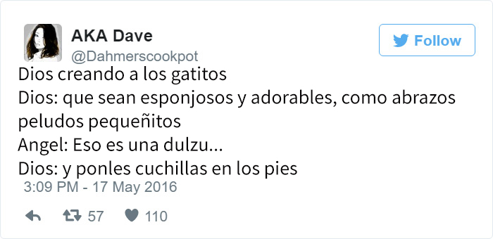 dios-creando-animales-twitter-2