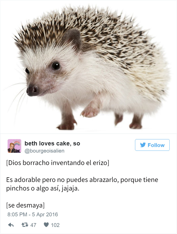dios-creando-animales-twitter-7