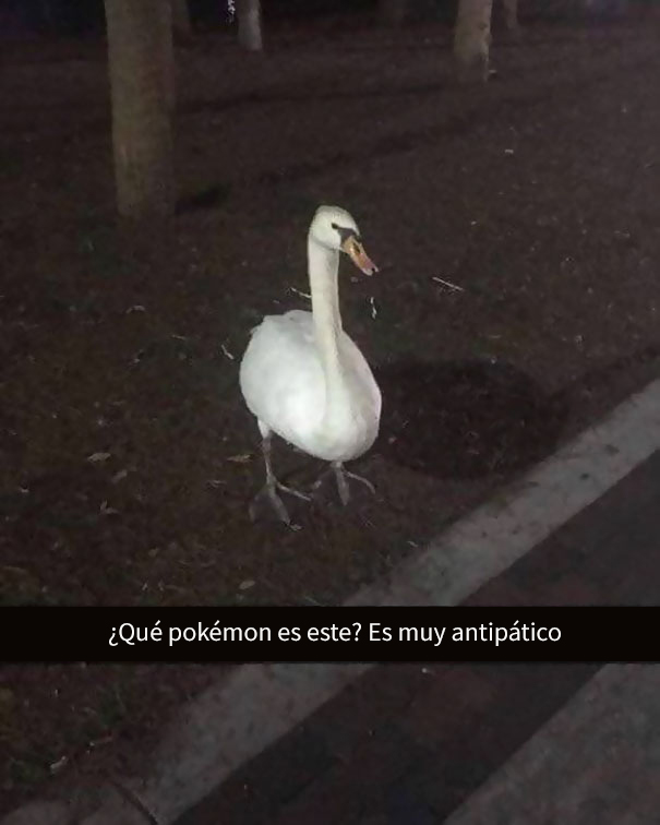 divertidos-snapchats-2-2