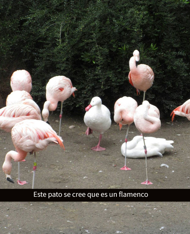 divertidos-snapchats-2-4