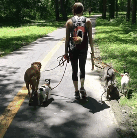 familia-7-animales-rescatados-amistad (3)