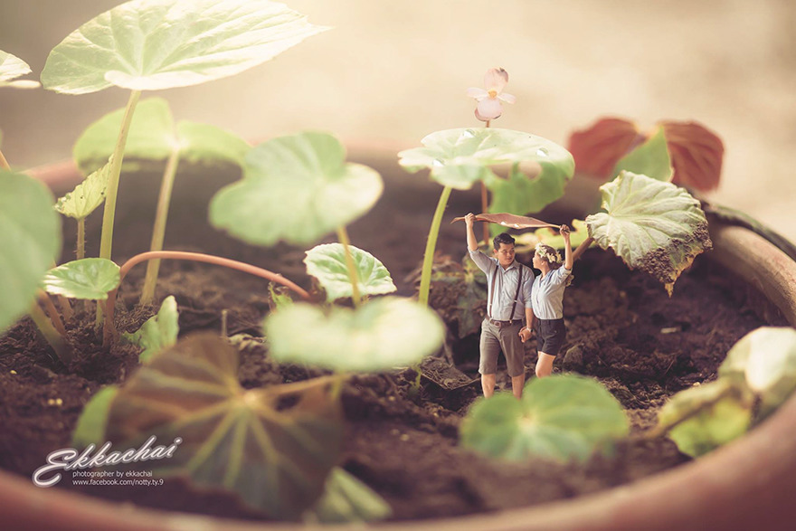fotos-bodas-miniatura-ekkachai-saelow (3)