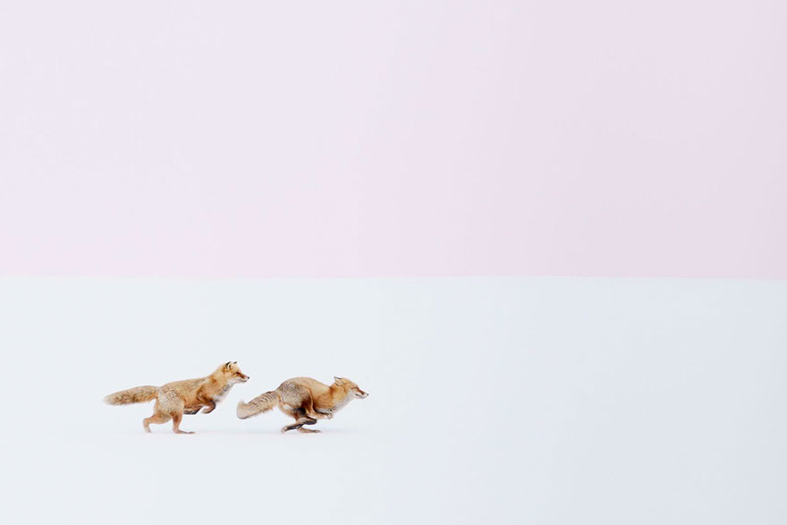 ganadores-concurso-fotos-viajeros-national-geographic-2016 (7)